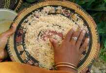 Día Del Contador En México 2021 Día Del Contador En México 2021