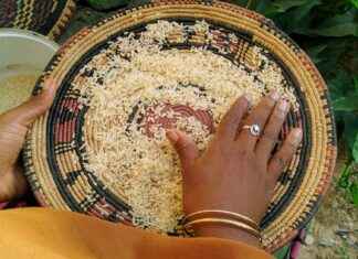 Día Del Contador En México 2021 Día Del Contador En México 2021