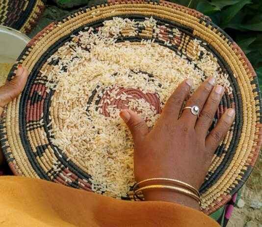 Día Del Contador En México 2021 Día Del Contador En México 2021