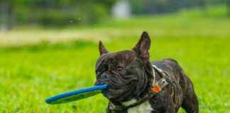 Envases Universales De México División Inyección PET Envases Universales De México División Inyección PET