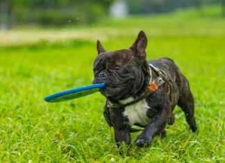 Envases Universales De México División Inyección PET Envases Universales De México División Inyección PET