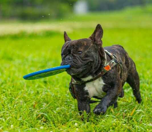 Envases Universales De México División Inyección PET Envases Universales De México División Inyección PET