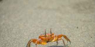 Fuentes Del Valle Estado De México Fuentes Del Valle Estado De México