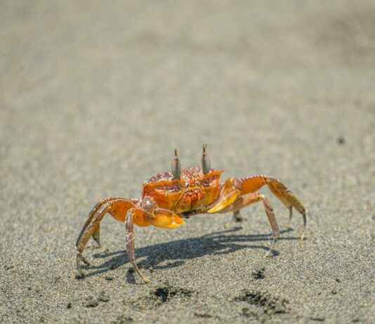 Fuentes Del Valle Estado De México Fuentes Del Valle Estado De México