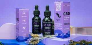 Historia De La Educación En México Historia De La Educación En México