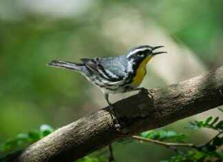 Joyas De Cuautitlán El Terremoto Cuautitlán Estado De México Joyas De Cuautitlán El Terremoto Cuautitlán Estado De México