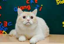 La Hora Exacta Estado De México La Hora Exacta Estado De México