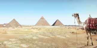 Logo Del Tecnológico Nacional De México Logo Del Tecnológico Nacional De México