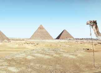 Logo Del Tecnológico Nacional De México Logo Del Tecnológico Nacional De México