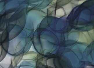 Logos Del Tecnológico Nacional De México Logos Del Tecnológico Nacional De México