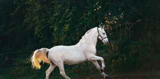 Salud Digna Avenida Universidad Del Carmen Ciudad De México CDMX Salud Digna Avenida Universidad Del Carmen Ciudad De México CDMX