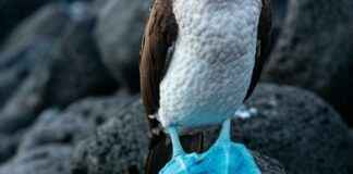 San Cristóbal Centro Ecatepec De Morelos Estado De México San Cristóbal Centro Ecatepec De Morelos Estado De México