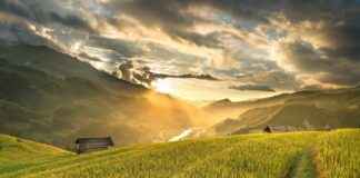 San Francisco Tlaltenco Ciudad De México CDMX San Francisco Tlaltenco Ciudad De México CDMX