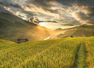 San Francisco Tlaltenco Ciudad De México CDMX San Francisco Tlaltenco Ciudad De México CDMX