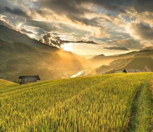 San Francisco Tlaltenco Ciudad De México CDMX San Francisco Tlaltenco Ciudad De México CDMX