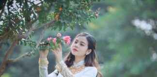 Tower Bridge Hostel Puerto Escondido México Tower Bridge Hostel Puerto Escondido México