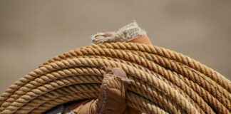 Trajes Típicos De Los 32 Estados De México PDF Trajes Típicos De Los 32 Estados De México PDF