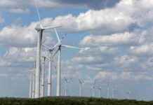 ahorro-de-1600-millones-de-dlares-en-mxico-mediante-energas-renovables
