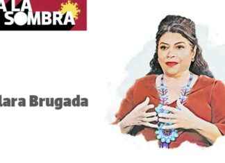 Bajo la sombra – Últimas noticias en El Sol de México bajo-la-sombra-ltimas-noticias-en-el-sol-de-mxico