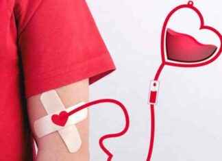 Beneficios y realidades de la donación de sangre: mitos desmentidos beneficios-y-realidades-de-la-donacin-de-sangre-mitos-desmentidos