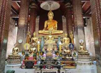 Celebración de Vesak: Uniendo a millones bajo la luna llena celebracin-de-vesak-uniendo-a-millones-bajo-la-luna-llena