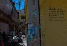 consulta-ciudadana-suspendida-en-coyoacn-ltimas-noticias-en-el-sol-de-mxico