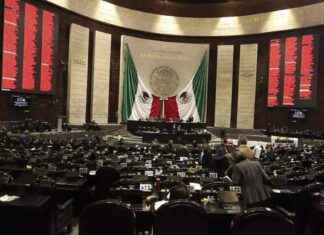 Corrección de contradicción en reforma judicial: diputados resuelven tras ocho meses – El Sol de México correccin-de-contradiccin-en-reforma-judicial-diputados-resuelven-tras-ocho-meses-el-sol-de-mxico