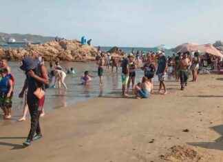 Día de descanso oficial en 2025: Fecha del próximo puente festivo en México da-de-descanso-oficial-en-2025-fecha-del-prximo-puente-festivo-en-mxico