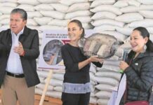 desafos-y-objetivos-de-los-alimentos-del-bienestar
