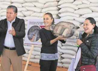 Desafíos y objetivos de los Alimentos del Bienestar desafos-y-objetivos-de-los-alimentos-del-bienestar