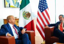 embajador-de-estados-unidos-elogia-a-mxico-por-su-cooperacin-en-seguridad
