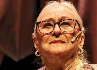 Entrevista con Susana Alexander: Hablando sobre el fin de una etapa entrevista-con-susana-alexander-hablando-sobre-el-fin-de-una-etapa