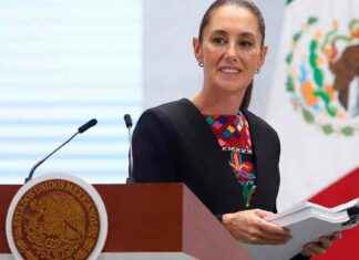 Gabinete de seguridad respalda a fiscalía de Veracruz tras asesinato de candidato de Morena gabinete-de-seguridad-respalda-a-fiscala-de-veracruz-tras-asesinato-de-candidato-de-morena