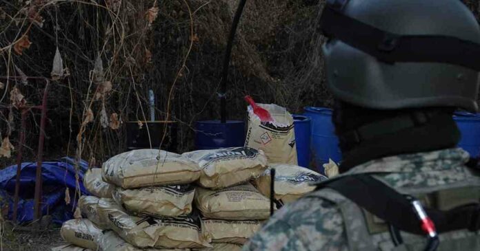 operativo-conjunto-de-ejrcito-y-guardia-nacional-erradica-235-plantaciones-ilegales
