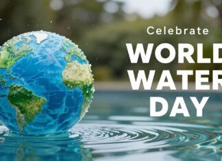 Celebra el Día Mundial del Agua: Ahorra y protege este recurso vital