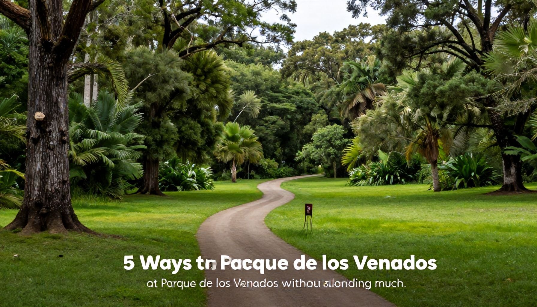 5 formas de disfrutar la naturaleza en Parque de los Venados sin gastar mucho*