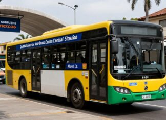 Encuentra conexiones rápidas y económicas en la Central Nueva de Autobuses de Guadalajara
