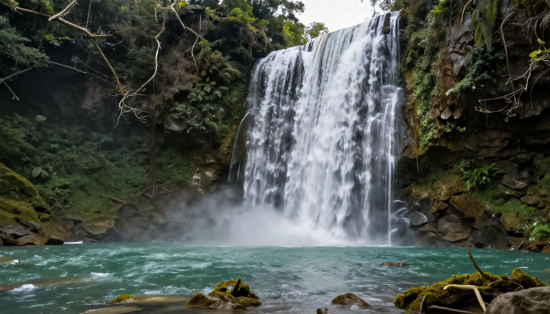 Cómo explorar las cascadas escondidas de Poza Rica en un solo día*