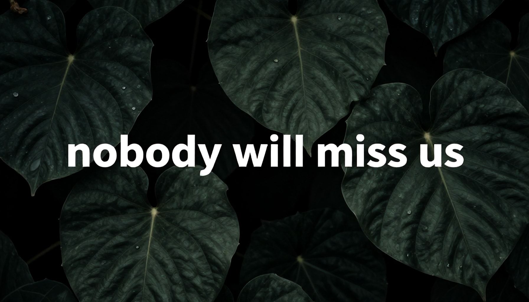 Cómo usar 'nadie nos va a extrañar' para impulsar tu crecimiento personal*