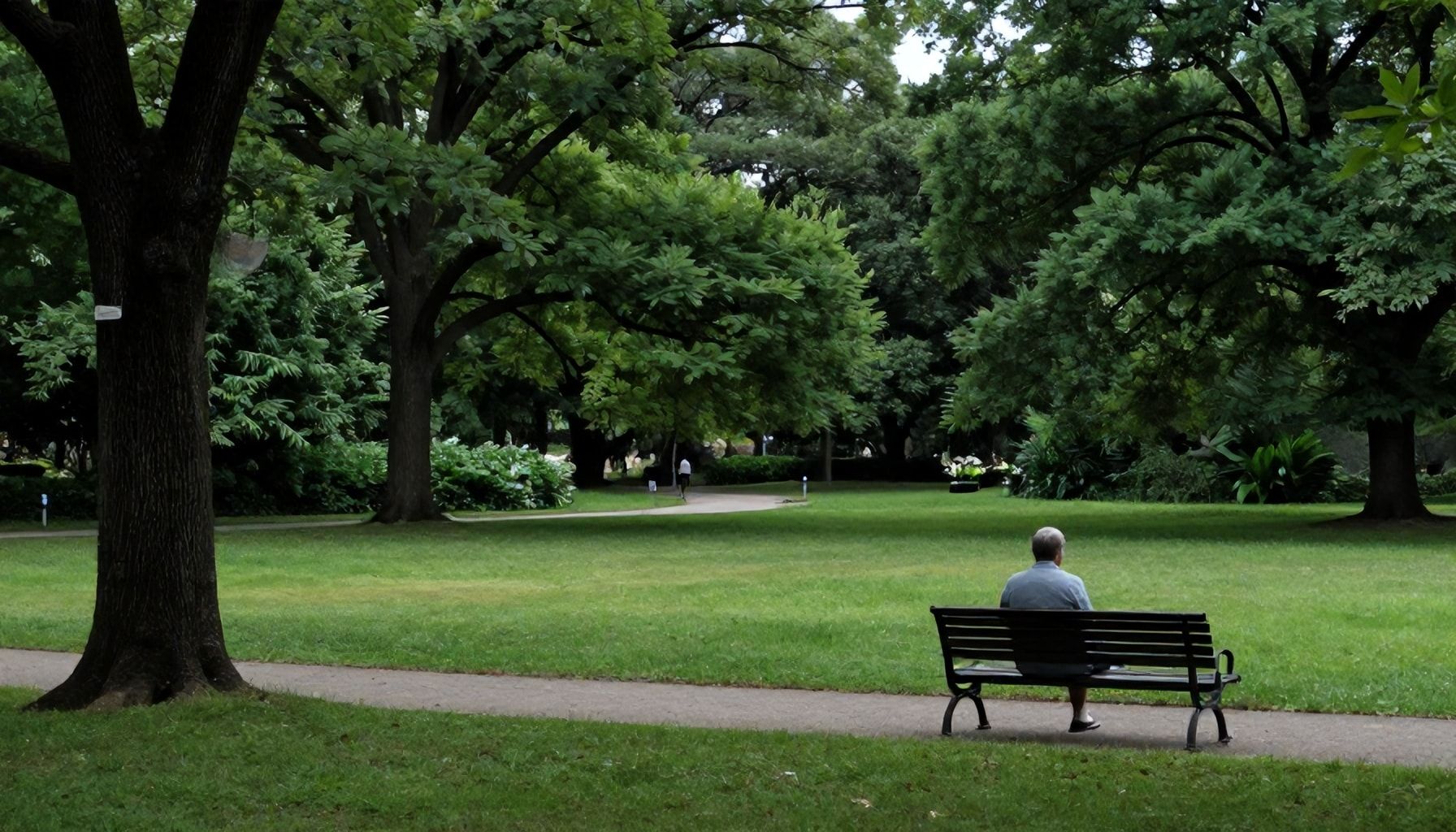 Guía paso a paso para explorar los rincones más tranquilos del parque*