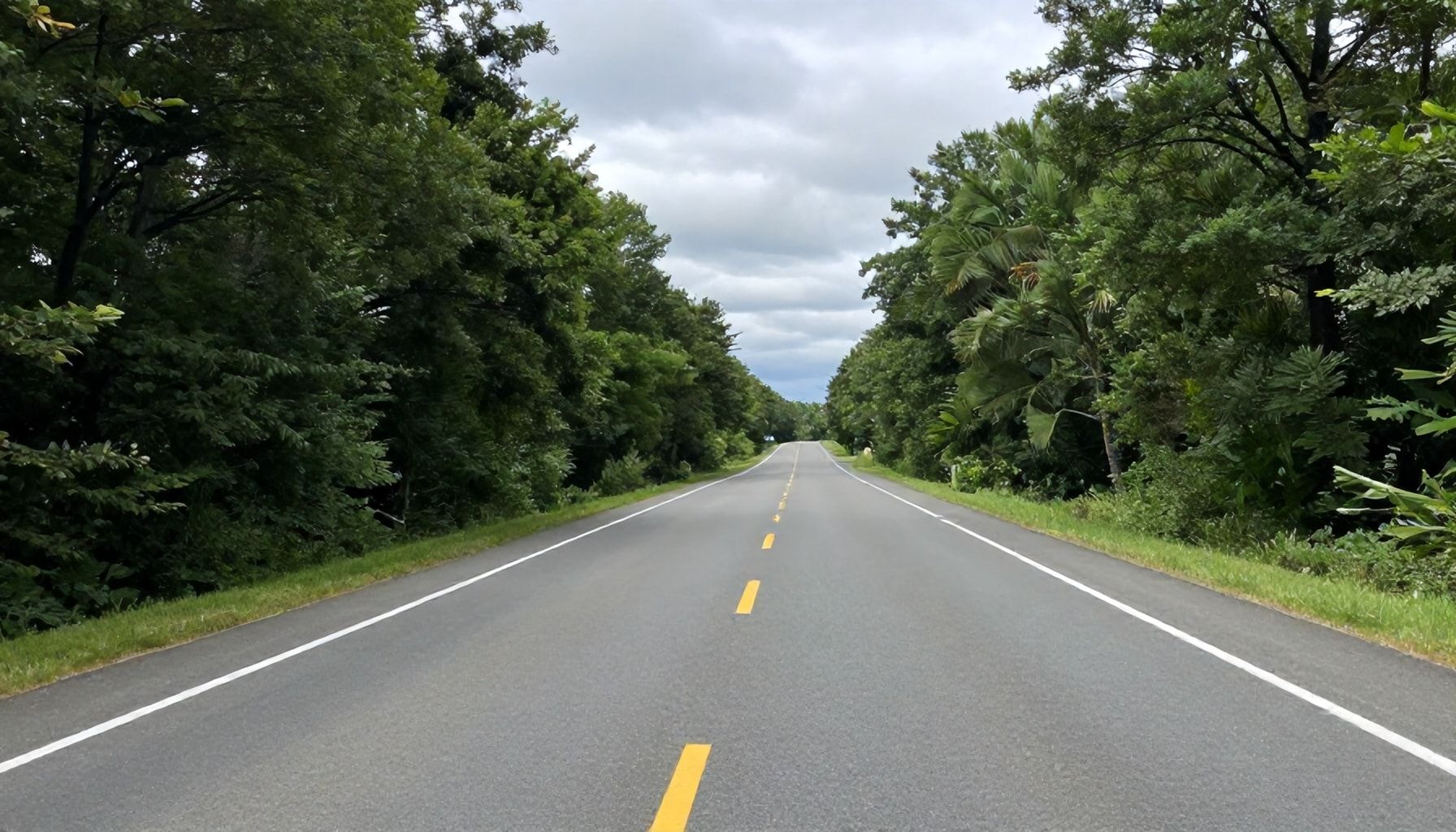 La verdad sobre cuál es la mejor ruta: ¿Autopista o camino libre?*
