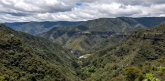 Descubre la belleza natural de Metro Barranca del Muerto