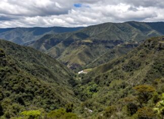 Descubre la belleza natural de Metro Barranca del Muerto