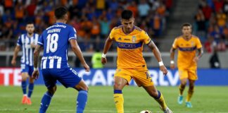Necaxa vs. Tigres: Clave para el ascenso en la Liga MX