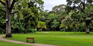Descubre la tranquilidad y belleza natural en Parque de los Venados