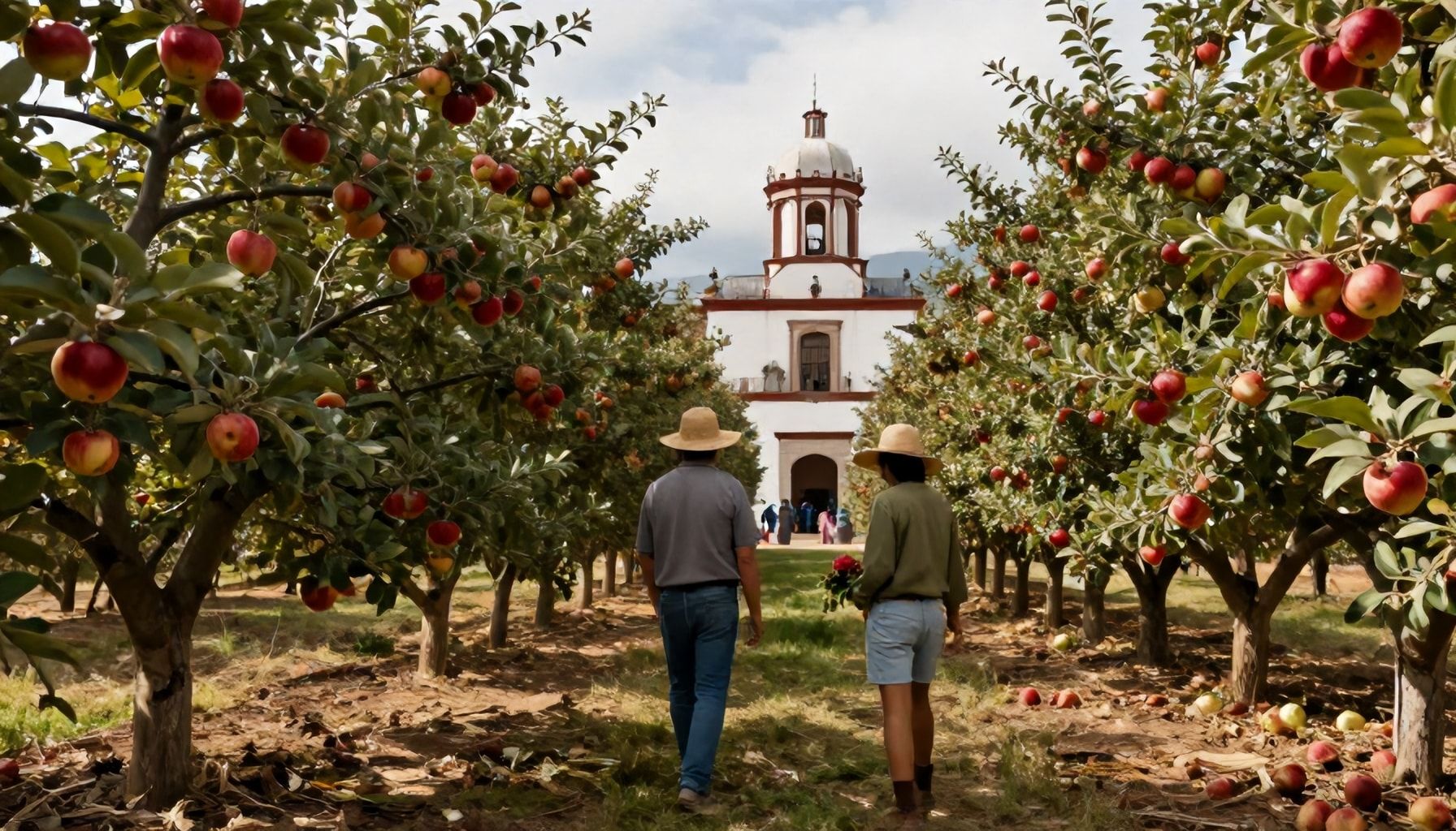 Por Qué Zacatlán es el Corazón de la Producción de Manzana en México*