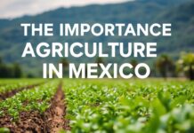 La Importancia de la Agricultura en México: Un Pilar Fundamental The Importance of Agriculture in Mexico: A Fundamental Pillar
